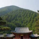 고촌로28번길 이미지