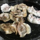 돌식당 티스토리