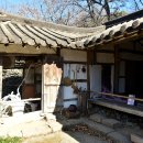 아미미술관 티스토리