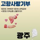 삼천리환경자원 | 광주에서 고향사랑 기부하면 어떤 답례품 받을까? 3만원 답례품 추천