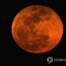 좌화취월 이미지