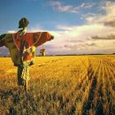 허수아비 이미지