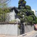 헤세드 | 도산 예식장 토브헤세드 하객 후기