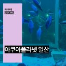 고양종합수족관 | 일산 아쿠아플라넷 아쿠아리움 입장권 할인 경기도 고양 놀거리