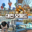 점프아프리카투어 | 아이랑 대전 오월드 유아 놀이기구 추천 겨울 아프리카 사파리 투어 평일 후기