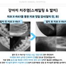 금호동물병원 이미지