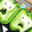 바디스쿨 이미지