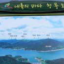 참어울림