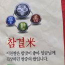 이천고려인삼 네이버블로그