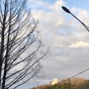 큰나무 | 대전 야경명소 추천! 보문산 큰나무 전망대 개장 후기 (주차, 운영시간정보)