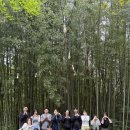 마음을 담는 싱잉볼 명상&요가 A | 부산 해운대 싱잉볼 아로마 야외요가 원데이클래스 후기 🌿 힐링과 쉼이 머물던 시간