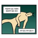 별동별 이미지