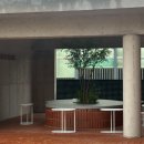 왓숑미용 이미지