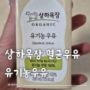 슬기목장 | 아이 키성장 필수템 상하목장 유기농 멸균우유 200ml 내돈내산 후기