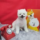 개린이미용실 이미지