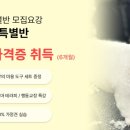 아름다운애견세상 이미지