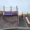 태평목장 | 서산 한우목장 방문