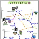 보성약품 Daum카페