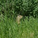 상준고시원