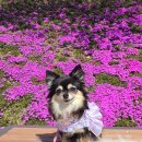 양지천 | 순창여행 순창군맛집 미가 갈치조림 냠냠 : )