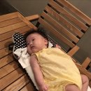 유이애견샵 이미지