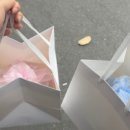 달소온앙금플라워케이크