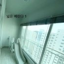 에코파인 이미지