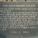 정선고성리산성 Daum카페