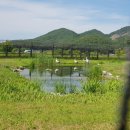 예당5일장 이미지