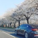 자유로셀프주유소 이미지