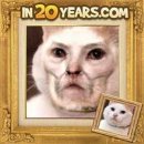 20년후 얼굴을 보여주는 어플에 고양이 사진을 넣어봤다 이미지