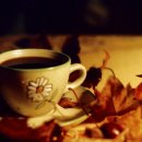 로타리다방 이미지