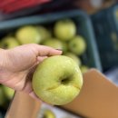 현도농장 이미지