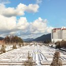 여기서놀자 이미지