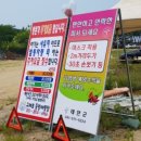 구례포 야영장 이미지