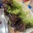 신일기사식당 이미지