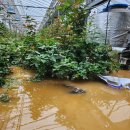 파평농원 이미지