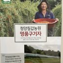 칠갑산 꿀농원 | 청양칠갑농원 구기자 후기!