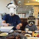 교하축산한우단지6 | [경주 맛집] 인생 한우를 만나다! 주차 편하고 가성비까지 잡은 '보문한우' 솔직후기