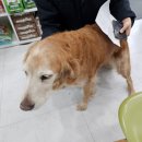 남산동물병원 이미지