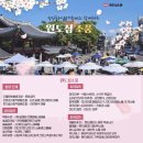 다몰문화협동조합 이미지