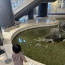 하나로카프라자 | 15개월 아기랑 강원도 여행 평창 켄싱턴 2박 3일 후기