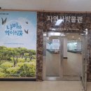 한남대학교 자연사박물관 이미지