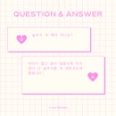유어바비 이미지