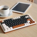 조약돌 | 앱코 무선 키보드 루왁커피 후기 조약돌 소리 키보드 추천 타건음 LED 효과