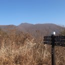화순우체국 이미지