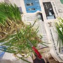 하늘아래둘째집 이미지