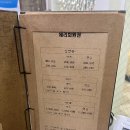 체리네일 | [뷰티] 서울 반포 네일 체리손톱 이달의 아트 만족 후기 솔직리뷰