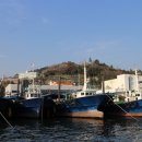 동호동 수협 앞 이미지