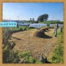 현대장의사 이미지